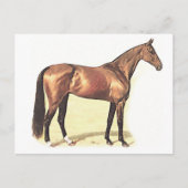 Carte Postale Thoroughbred (Devant)