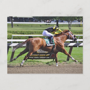 Carte Postale Thoroughbred racing at Historic Saratoga Racetrack