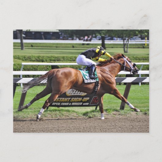 Carte Postale Thoroughbred racing at Historic Saratoga Racetrack (Devant)