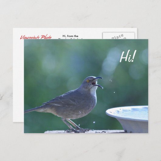 Carte postale Thrasher Splasher (Devant / Derrière)