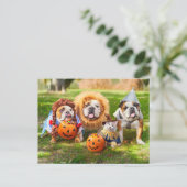 Carte Postale Three Bulldogs in Costumes (Debout devant)