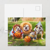 Carte Postale Three Bulldogs in Costumes (Devant / Derrière)