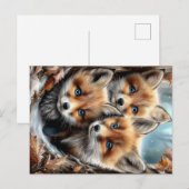 Carte Postale Three Cute Fox Cubs in Forest (Devant / Derrière)