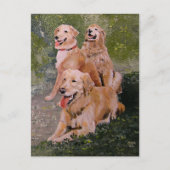 Carte Postale Three Golden Generations (Devant)