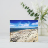 Carte Postale Thrombolites, Lac Thetis Ouest Australie (Debout devant)