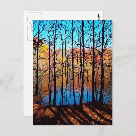 Carte Postale Thru Trees (Devant / Derrière)