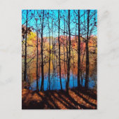 Carte Postale Thru Trees (Devant)