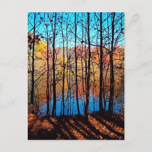 Carte Postale Thru Trees (Devant)