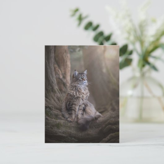 Carte postale Thula (Debout devant)