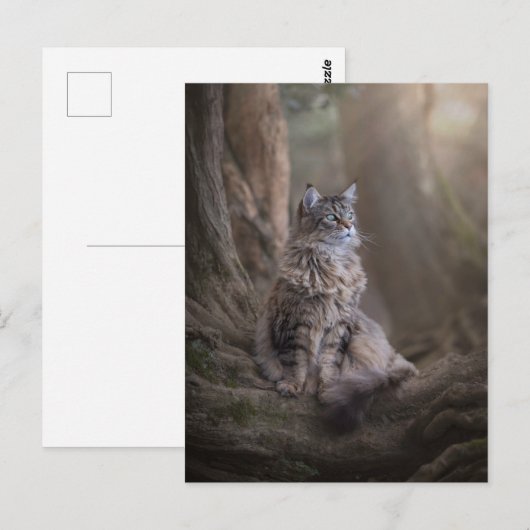 Carte postale Thula (Devant / Derrière)