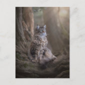 Carte postale Thula (Devant)