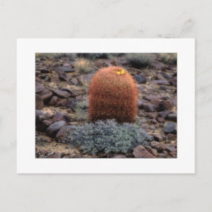 Carte Postale "Thumbs Up"