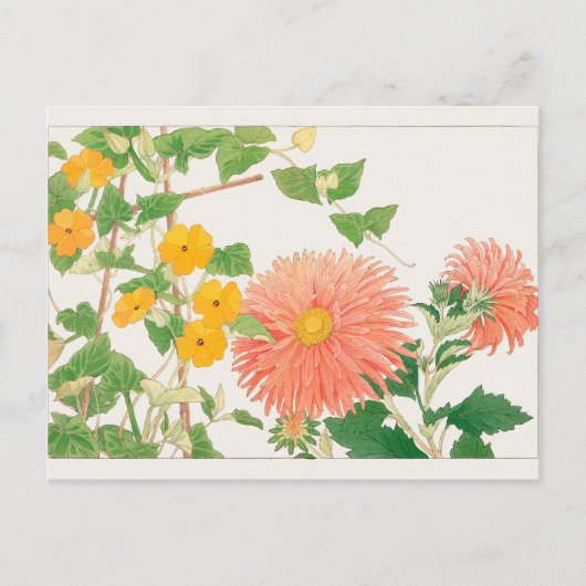 Carte Postale Thunbergia, aster de Chine par Tanigami Konan (Devant)