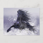 Carte postale Thunder d'hiver (Devant)