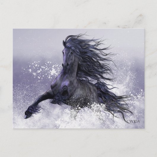 Carte postale Thunder d'hiver (Devant)