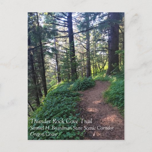 Carte Postale Thunder Rock Cove Trail, Samuel H Boardman, Oregon (Devant)