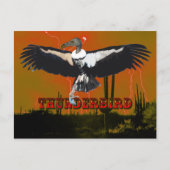 Carte postale Thunderbird (Devant)