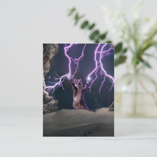 Carte Postale Thunderbolted cat (Debout devant)