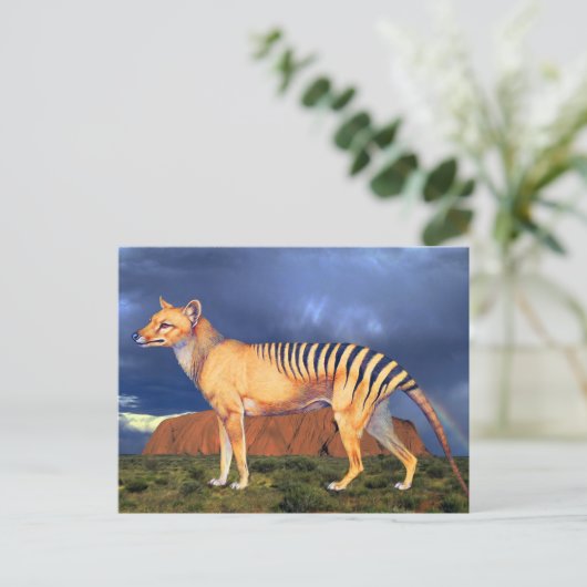 Carte Postale Thylacine (Tigre de Tasmanie) (Debout devant)
