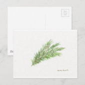 Carte Postale Thym herbe botanique plante aquarelle Cuisine  (Devant / Derrière)