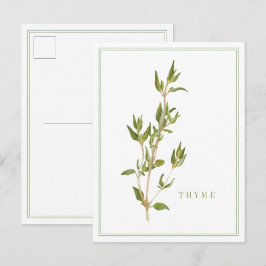 Carte postale THYME FRAÎCHE (Devant / Derrière)