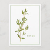 Carte postale THYME FRAÎCHE (Devant)