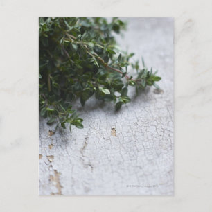 Carte Postale Thyme sur une vieille table en bois