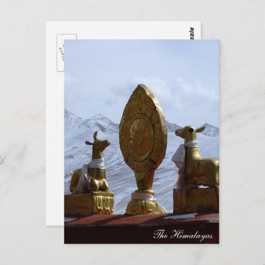 Carte Postale Tibet, Monastère de Ganden Cerfs tournant la roue (Devant / Derrière)