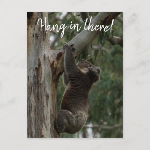 Carte Postale Tiens bon ! Australie Koala Cute