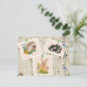 Carte Postale Tiere im Busch (Debout devant)