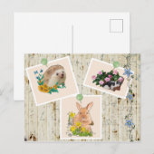 Carte Postale Tiere im Busch (Devant / Derrière)