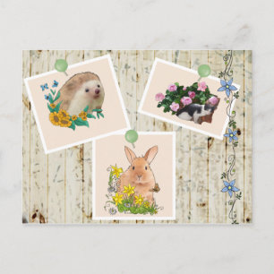 Carte Postale Tiere im Busch