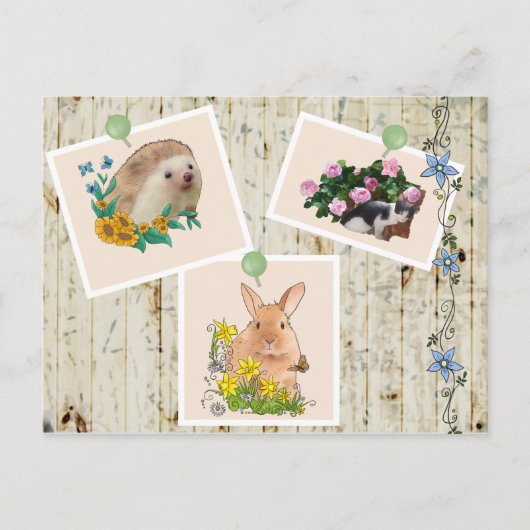 Carte Postale Tiere im Busch (Devant)