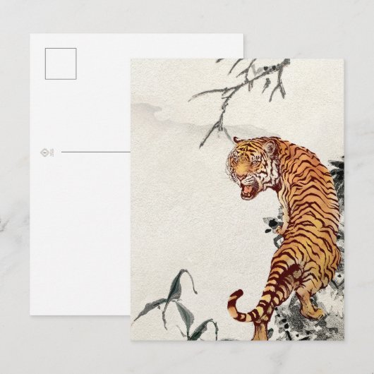 Carte postale Tiger (Devant / Derrière)