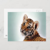 Carte Postale Tiger (Devant / Derrière)
