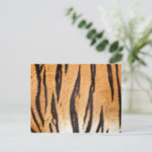 Carte postale Tiger (Debout devant)