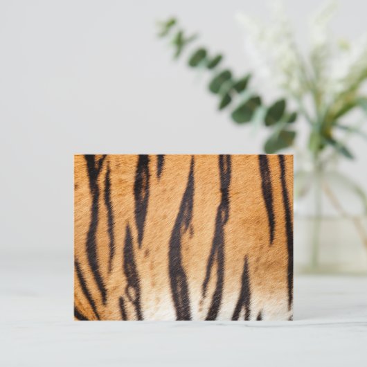 Carte postale Tiger (Debout devant)