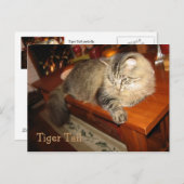 Carte Postale Tiger (Devant / Derrière)