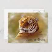 Carte postale Tiger (Devant / Derrière)