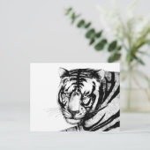 CARTE POSTALE TIGER (Debout devant)