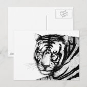 CARTE POSTALE TIGER (Devant / Derrière)