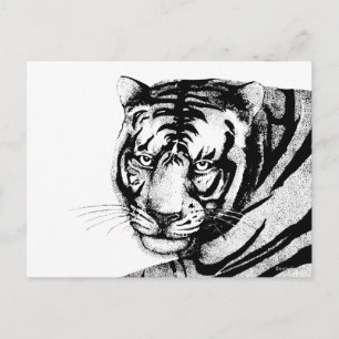 CARTE POSTALE TIGER