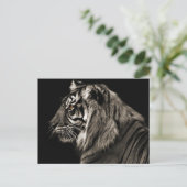 Carte Postale Tiger (Debout devant)