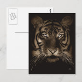 Carte postale Tiger (Devant / Derrière)