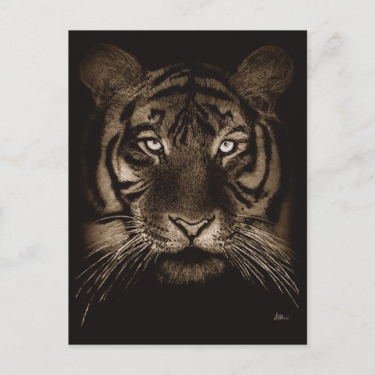 Carte postale Tiger (Devant)