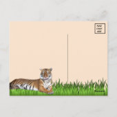 Carte postale Tiger Bengale (Dos)