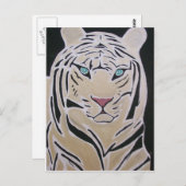 CARTE POSTALE TIGER BLANC (Devant / Derrière)
