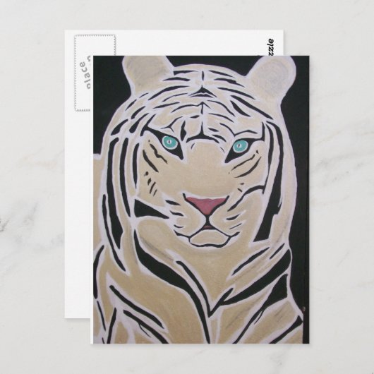 CARTE POSTALE TIGER BLANC (Devant / Derrière)