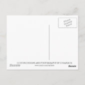 CARTE POSTALE TIGER BLANC (Dos)