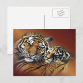 Carte postale Tiger & Cub (Devant / Derrière)